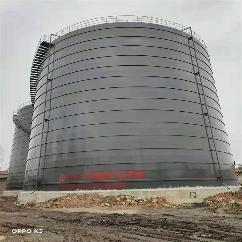 景洪3万吨大型钢板库